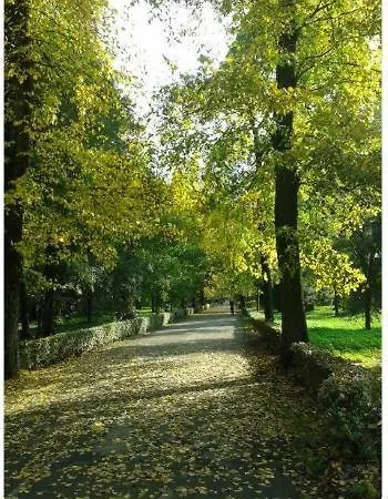 Appartamento Mamma Sandra, Incantevole Tre Posti Piu Uno Florenz Exterior foto